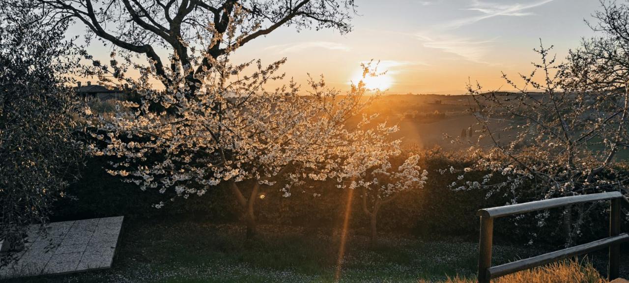 Agriturismo I Roseti Montepulciano Stazione Exteriér fotografie