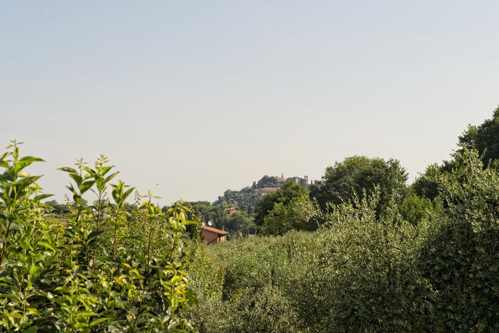 Agriturismo I Roseti Montepulciano Stazione Pokoj fotografie