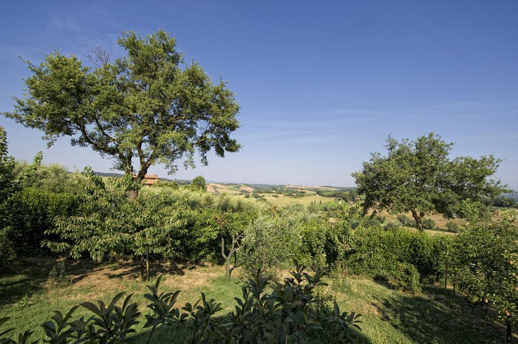 Agriturismo I Roseti Montepulciano Stazione Pokoj fotografie